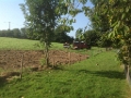 20140916 LE BOSQUET FENCING & POND WORKS 03